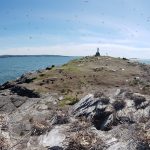 Inventaire des oiseaux marins aux îles Razade, le 27 mai 2018. Photo: Olivier Caron
