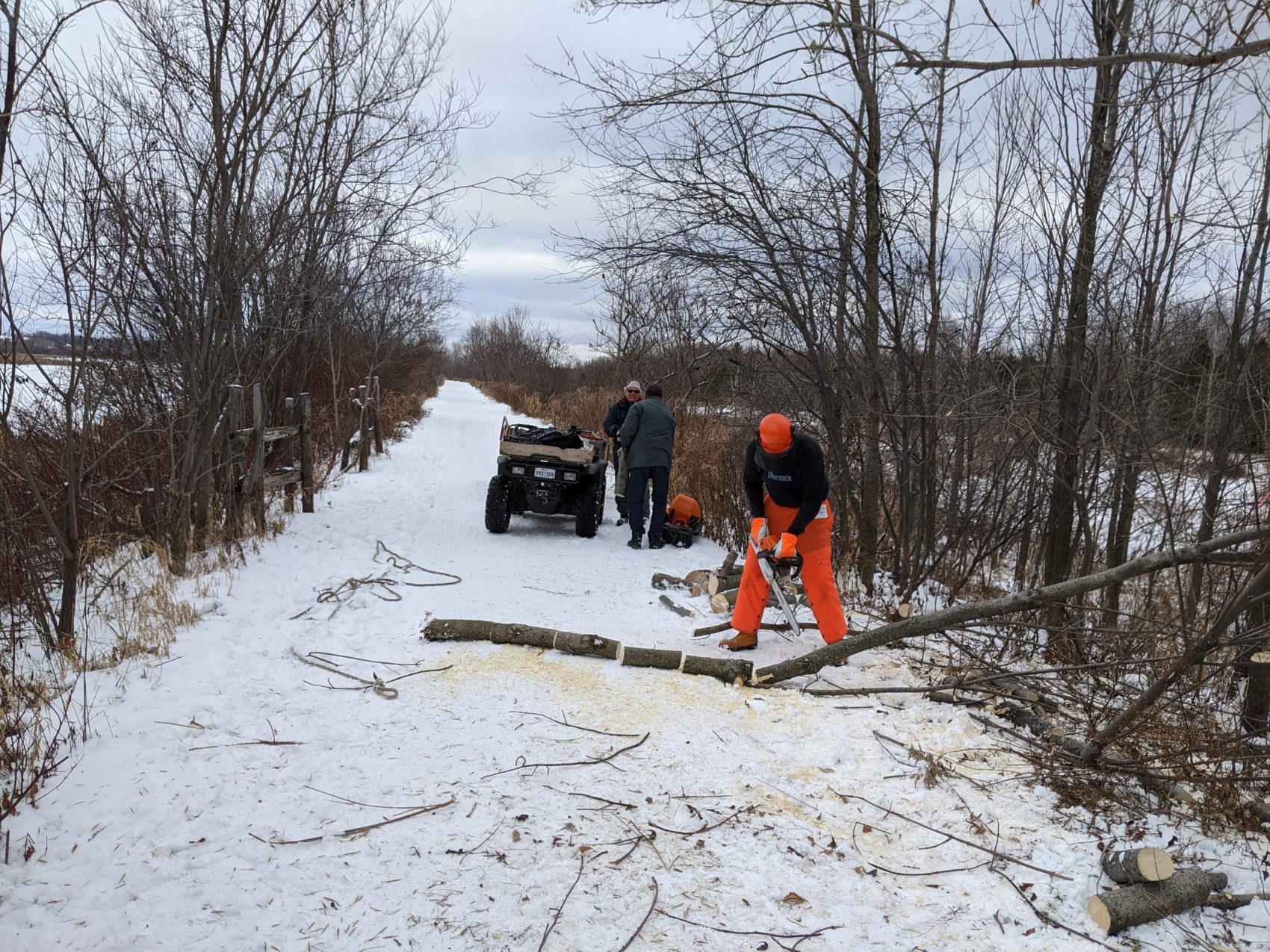 En cette journée de début d'hiver, une équipe de bénévoles s'affaire à l'entretien de la digue le long du réservoir – ou marais – Léon-Provancher. On peut voir ici un aperçu du tronçonnage des arbres abattus par Olivier Drouin.