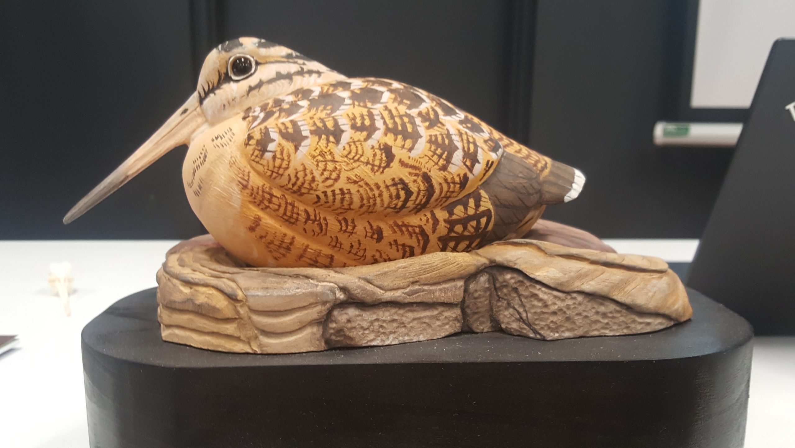 Sculpture sur bois d'une bécasse d'Amérique par Ghislain Patry, sculpteur animalier