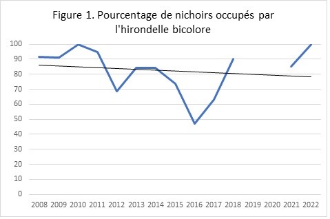 Tableau du rapport 2022, nidification de l'hironelle bicolore, au marais Léon-Provancher.