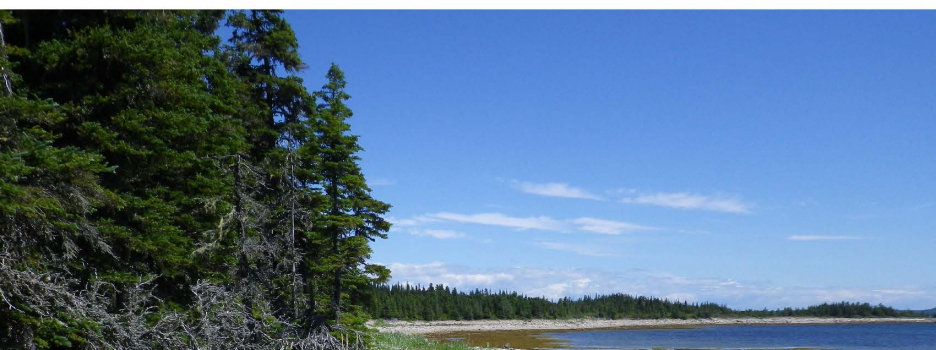 La première tranche du numéro du printemps 2021 du Naturaliste canadien est disponible en ligne
