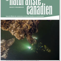La première tranche du Naturaliste canadien de l’automne 2022 est disponible en ligne