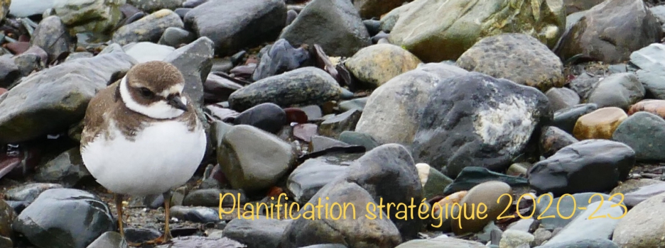 Planification stratégique 2020-2023
