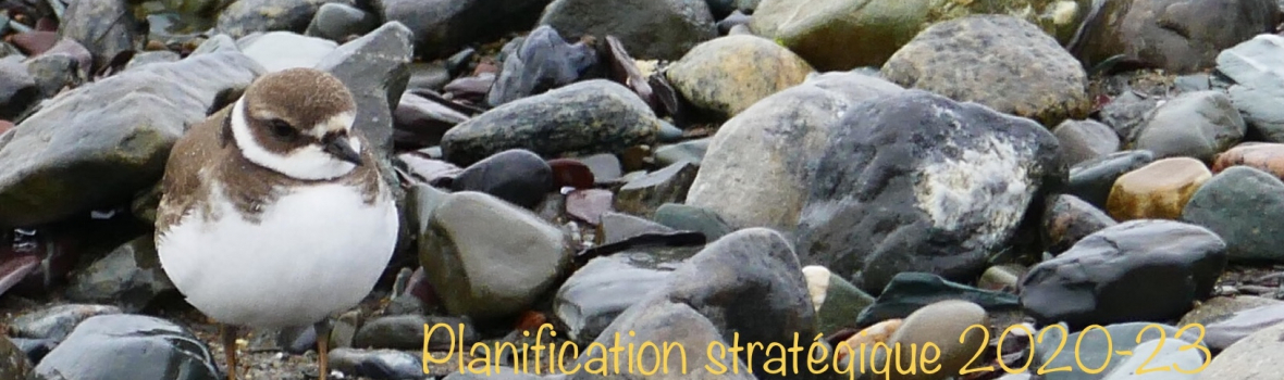Planification stratégique 2020-2023