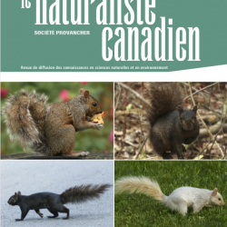 La première tranche du Naturaliste canadien du printemps 2022 est maintenant disponible
