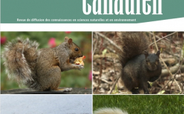 Le numéro complet du Naturaliste canadien du printemps 2022 est maintenant disponible